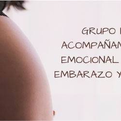 Grupo de acompañamiento psicoemocional en el embarazo y para el parto